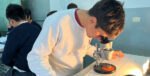 Laboratorios vivos